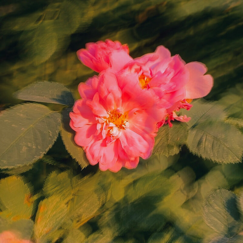 The Art of Bringing a Room Together: Expressionism in Interior Design